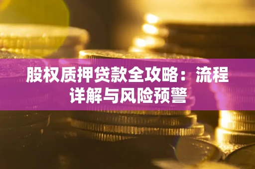 济南股权质押贷款全攻略：流程详解与风险预警