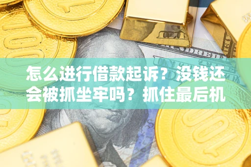 济南怎么进行借款起诉？没钱还会被抓坐牢吗？抓住最后机会！