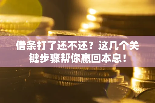 济南借条打了还不还？这几个关键步骤帮你赢回本息！