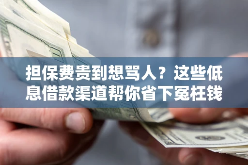 济南担保费贵到想骂人？这些低息借款渠道帮你省下冤枉钱