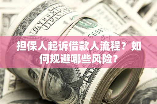 济南担保人起诉借款人流程？如何规避哪些风险？