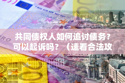 济南共同债权人如何追讨债务？可以起诉吗？（速看合法攻略）