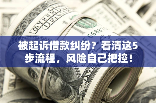 济南被起诉借款纠纷？看清这5步流程，风险自己把控！